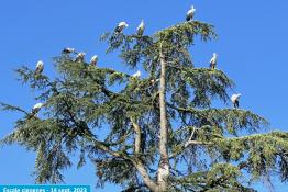environnement-jardin - 4 sur 12